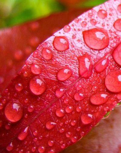 عکس زمینه ناب