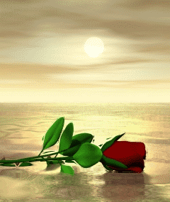 عکس زمینه جالب
