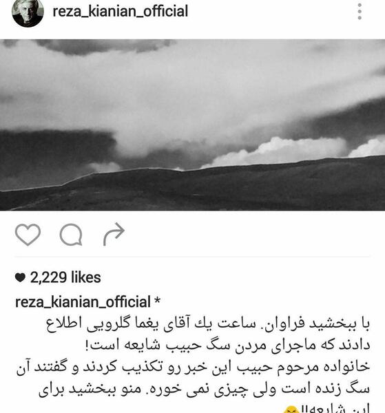 عکس سگ حبیب