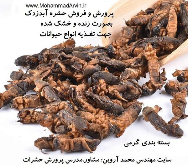 عکس سوسک آبدزدک