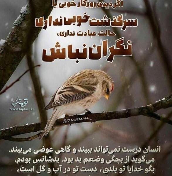 عکس نوشته خدایا این چه سرنوشتی بود