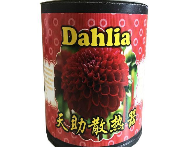 عکس گل جادویی