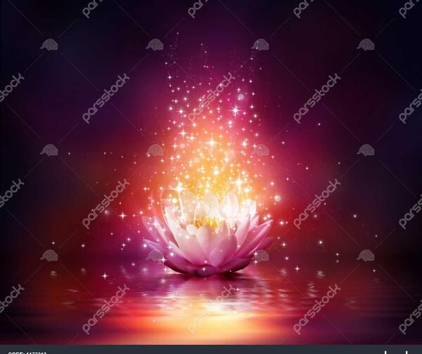 عکس گل جادویی