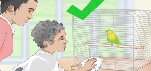 عکس کارتونی طوطی در قفس
