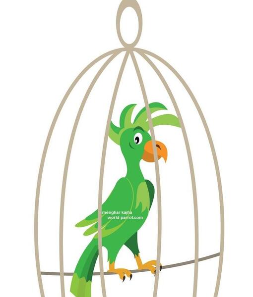 عکس کارتونی طوطی در قفس
