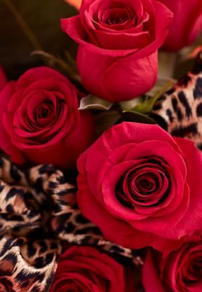عکس صفحه گوشی گل قرمز
