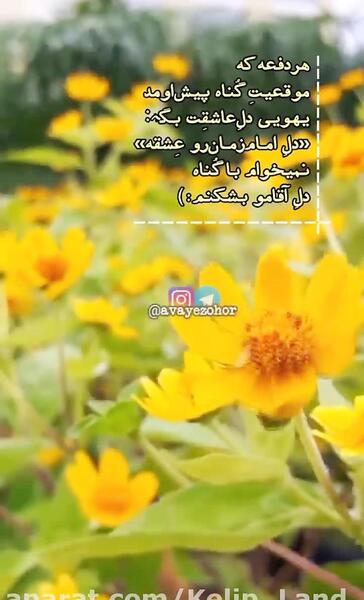 عکس وضعیت واتساپ ذی الحجه