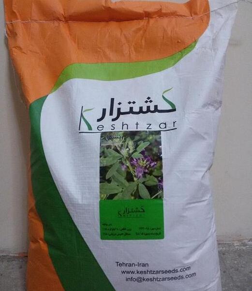 عکس بذر یونجه همدانی