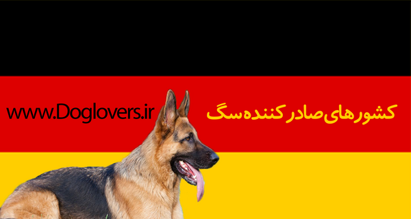 عکس سگ ژرمن وارداتی