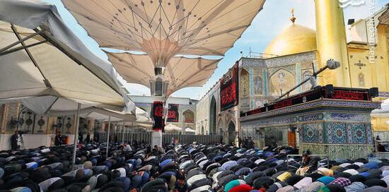 عکس امام علی نماز