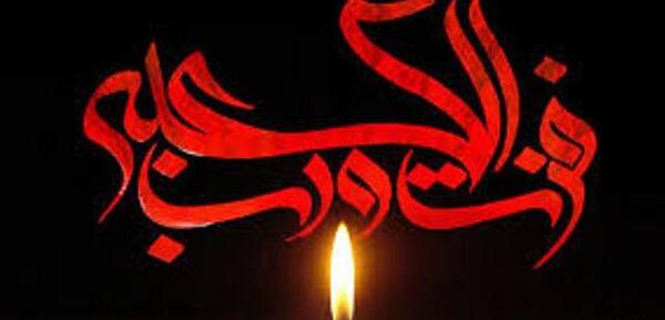 عکس امام علی نماز