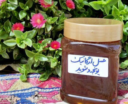 عکس عسل یونجه