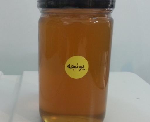 عکس عسل یونجه