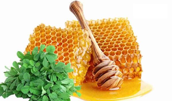 عکس عسل یونجه