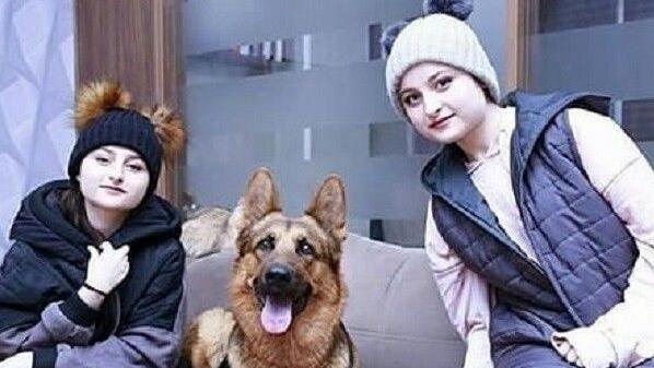 عکس سارا و نیکا با سگ هایشان
