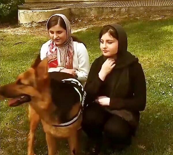 عکس سارا و نیکا با سگ هایشان