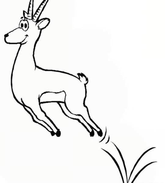 عکس آهو برای طراحی