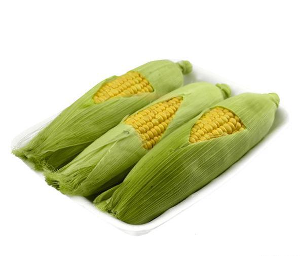 عکس عروسک ذرت