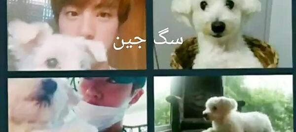 عکس سگ جیهوپ