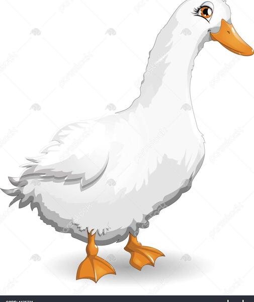 عکس کارتون غاز
