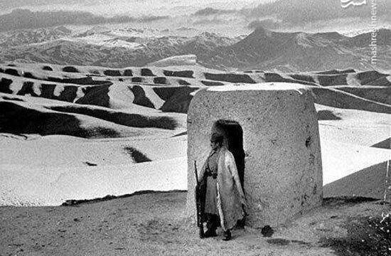عکس مرزبان