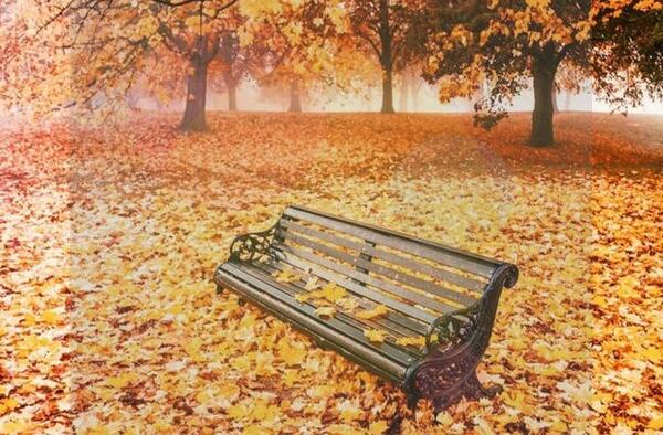 عکس های زیبای طبیعت برای پروفایل