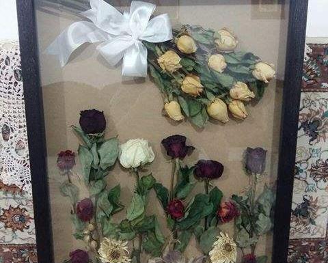 عکس گل رز خشک