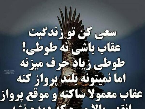 عکس عقاب نوشته دار