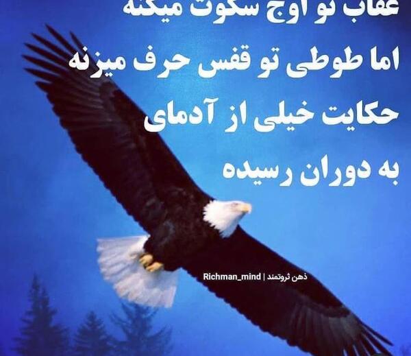 عکس عقاب نوشته دار