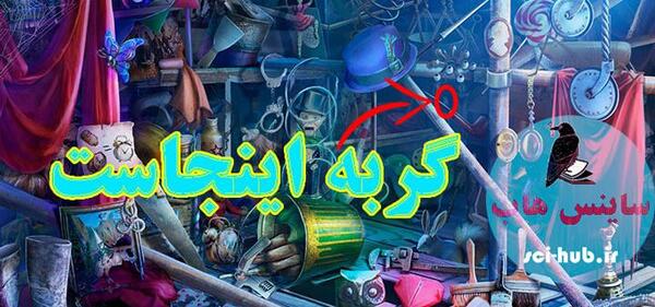عکس گربه را پیدا کنید