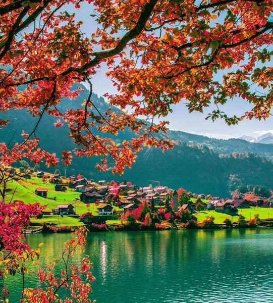 چند عکس زیبا از طبیعت