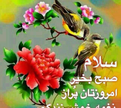 دانلود عکس صبح بخیر یکشنبه