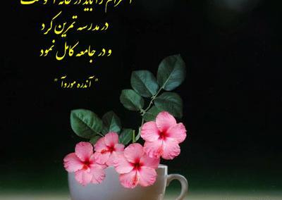 عکس نوشته های بزرگان ادب