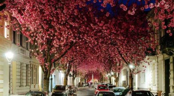 عکس جاهای دیدنی شهر بن آلمان