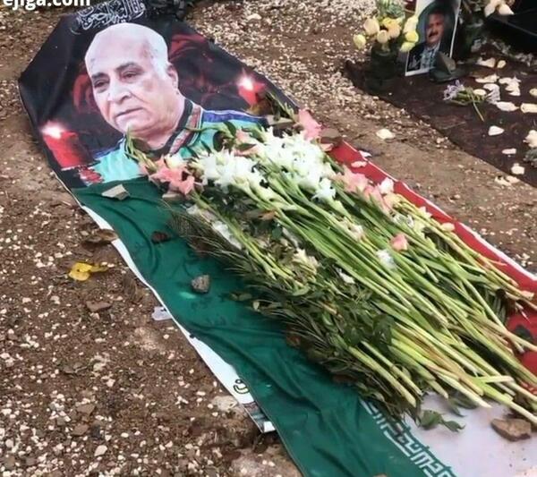 عکس ایران گل