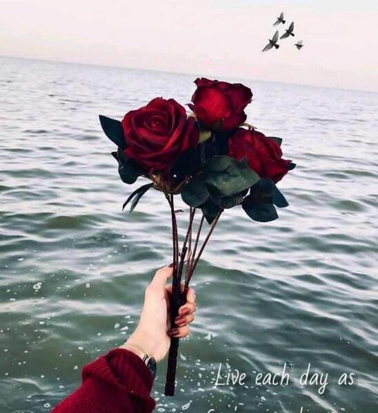 عکس جور کن