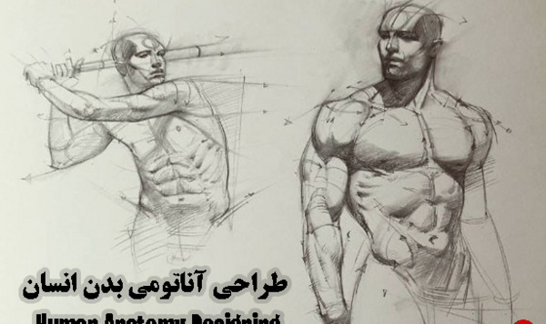 عکس طراحی اناتومی بدن