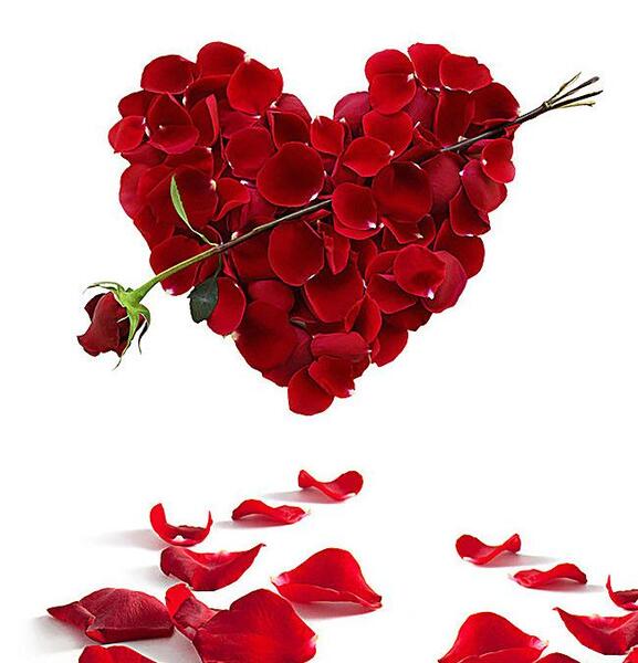 عکس قلب زیبا برای پروفایل شاد