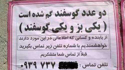 عکس فامیلی های خنده دار