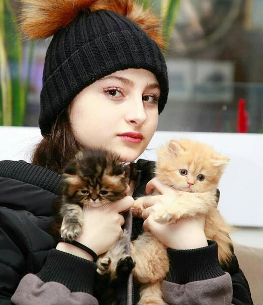 عکس سارا نیکا و سگ
