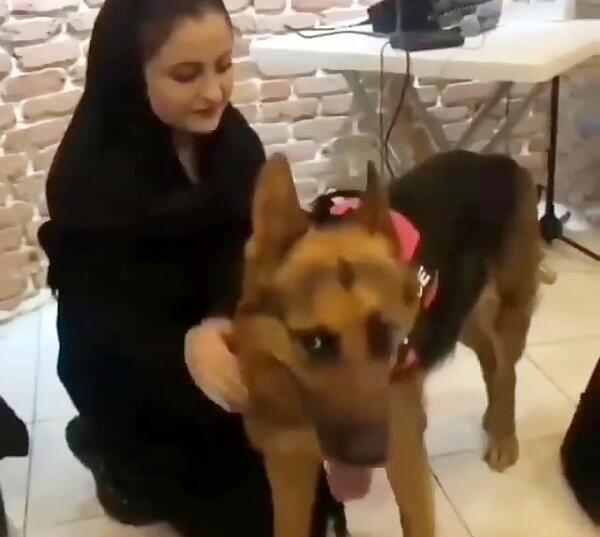 عکس سارا نیکا و سگ