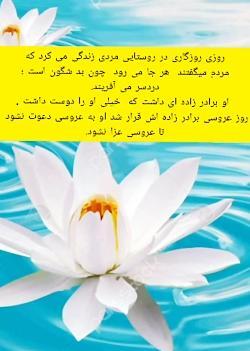 عکس ضرب المثل دسته گل به آب دادن