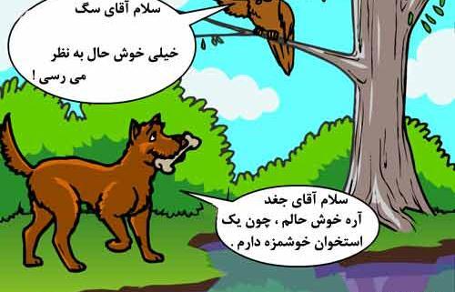 عکس ضرب المثل دسته گل به آب دادن