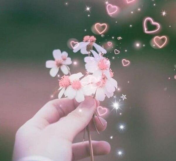 عکس پروفایل جدید