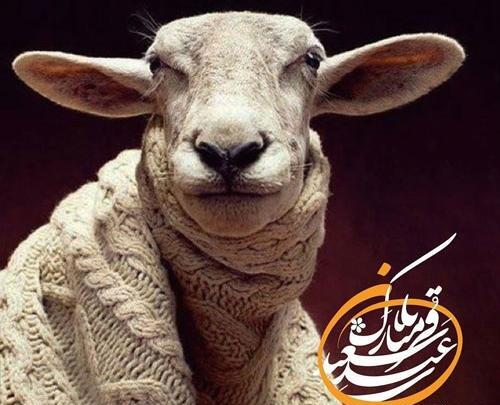 عکس پروفایل عید قربان جدید