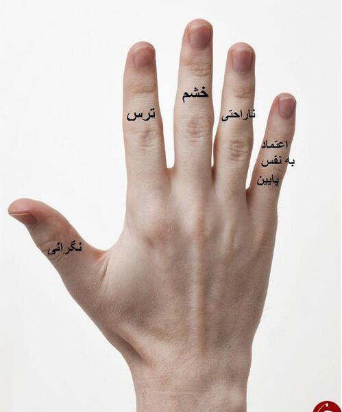 عکس دست جین