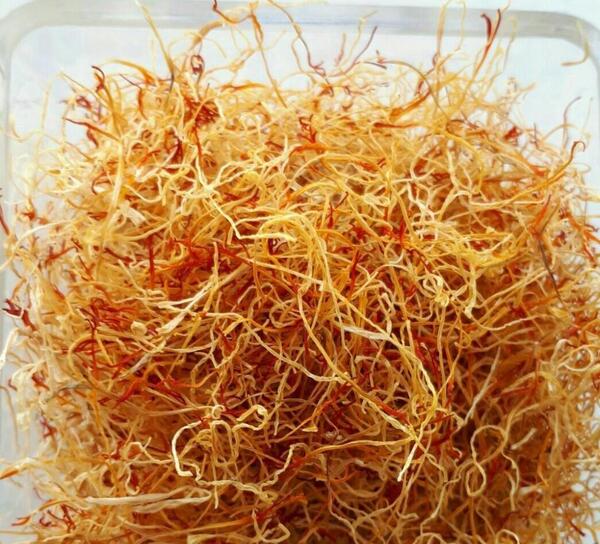 عکس ریشه زعفران