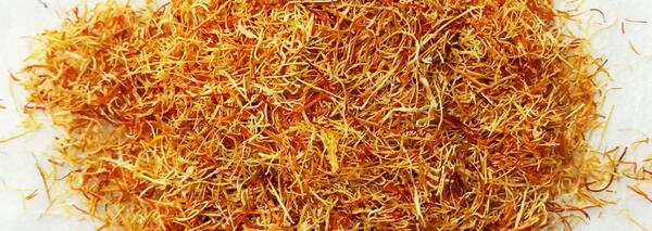 عکس ریشه زعفران