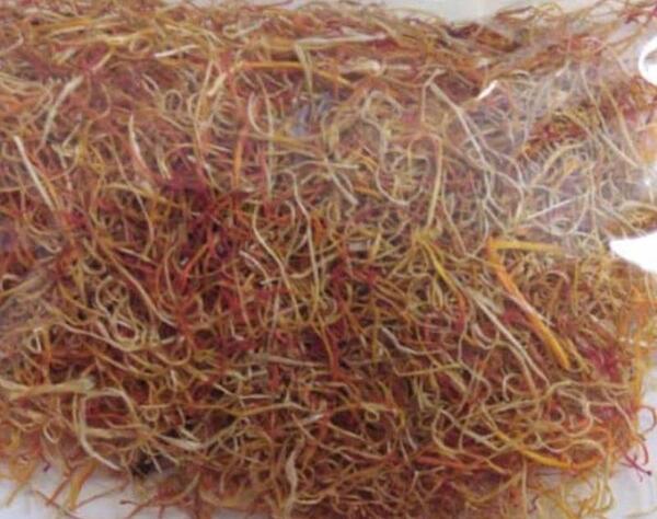 عکس ریشه زعفران