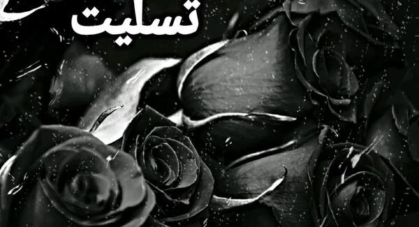 عکس گل سیاه برا تسلیت